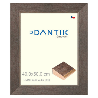 DANTIK rámeček 40x50 | TOMAS šedá velká (Plexi Čiré)