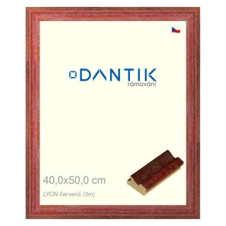 DANTIK rámeček 40x50 | LYON červená (Plexi Čiré)