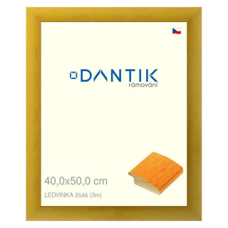 DANTIK rámeček 40x50 | LEDVINKA žlutá (Plexi Čiré)