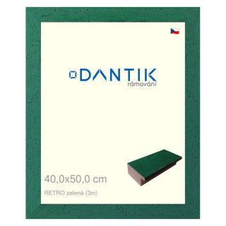 DANTIK rámeček 40x50 | RETRO zelená (Plexi Čiré)