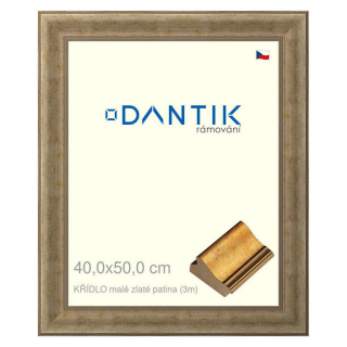 DANTIK rámeček 40x50 | KŘÍDLO malé zlaté patina (Plexi Čiré)