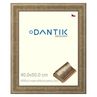 DANTIK rámeček 40x50 | KŘÍDLO malé stříbrné patina (Plexi Čiré)