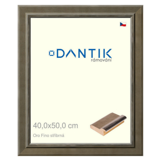 DANTIK rámeček 40x50 | Oro Fino stříbrná (Plexi Čiré)