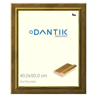 DANTIK rámeček 40x50 | Oro Fino zlatá (Plexi Čiré)