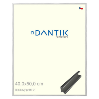 DANTIK rámeček 40x50 | ALU profil 7001 Stříbrná lesklá (Plexi Čiré)
