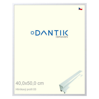 DANTIK rámeček 40x50 | ALU profil 7003 Bílá matná (Plexi Čiré)