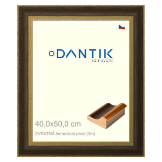 DANTIK rámeček 40x50 | ZVRATNÁ černozlatá plast (Plexi Čiré)