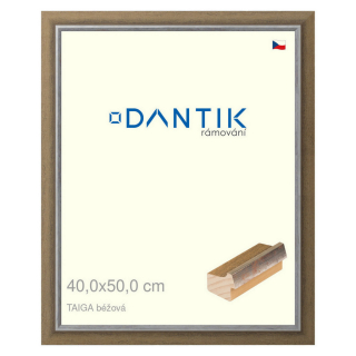 DANTIK rámeček 40x50 | TAIGA béžová (Plexi Čiré)