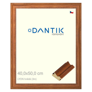 DANTIK rámeček 40x50 | LYON hnědá (Plexi Čiré)
