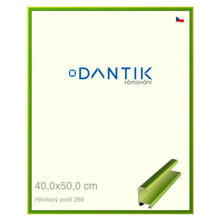 DANTIK rámeček 40x50 | ALU profil 7269 Zelená Smaragd broušená (Plexi Čiré)