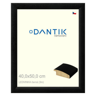 DANTIK rámeček 40x50 | LEDVINKA černá (Plexi Čiré)