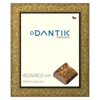 DANTIK rámeček 40x50 | PRAHA zlatá (Plexi Čiré)