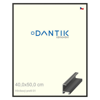 DANTIK rámeček 40x50 | ALU profil 6001 Černá matná (Plexi Čiré)