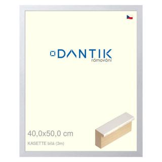 DANTIK rámeček 40x50 | KASSETTE bílá (Plexi Čiré)