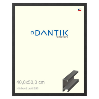 DANTIK rámeček 40x50 | ALU profil 6240 Černá matná (Plexi Čiré)