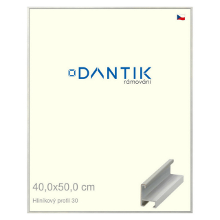DANTIK rámeček 40x50 | ALU profil 6030 Dýha barevná šedá světlá (Plexi Čiré)