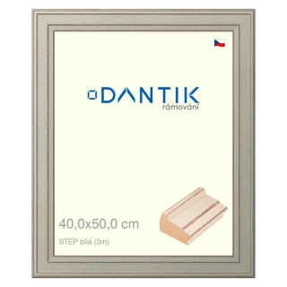 DANTIK rámeček 40x50 | STEP bílá (Plexi Čiré)