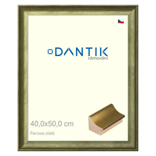 DANTIK rámeček 40x50 | Ferrosa zlatá (Plexi Čiré)