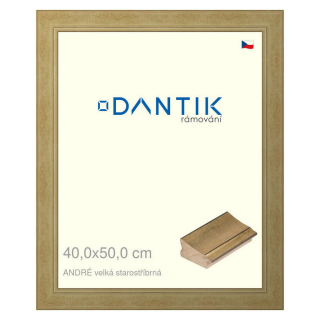 DANTIK rámeček 40x50 | ANDRÉ velká starostříbrná (Plexi Čiré)