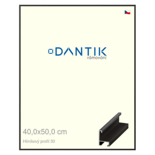DANTIK rámeček 40x50 | ALU profil 6030 Dýha černá (Plexi Čiré)