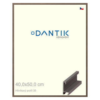 DANTIK rámeček 40x50 | ALU profil 6035 Hnědá tmavá (Plexi Čiré)