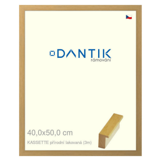 DANTIK rámeček 40x50 | KASSETTE přírodní lakovaná (Plexi Čiré)