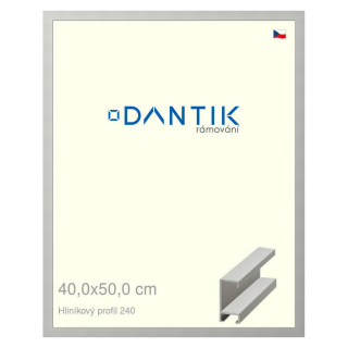 DANTIK rámeček 40x50 | ALU profil 6240 Stříbrná matná (Plexi Čiré)