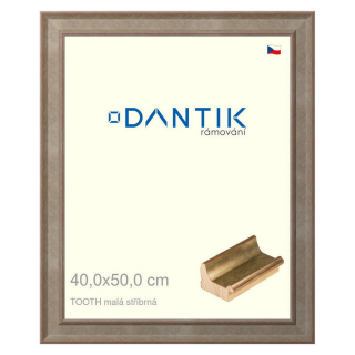 DANTIK rámeček 40x50 | TOOTH malá stříbrná (Plexi Čiré)
