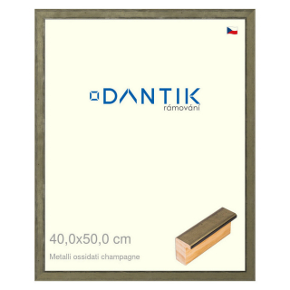 DANTIK rámeček 40x50 | Metalli oidati champagne (Plexi Čiré)