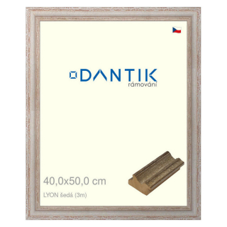 DANTIK rámeček 40x50 | LYON šedá (Plexi Čiré)