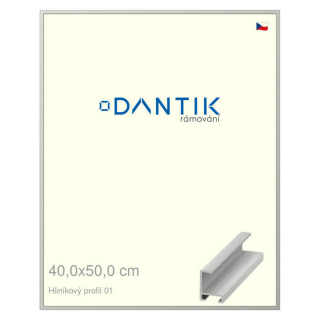 DANTIK rámeček 40x50 | ALU profil 6001 Stříbrná matná (Plexi Čiré)