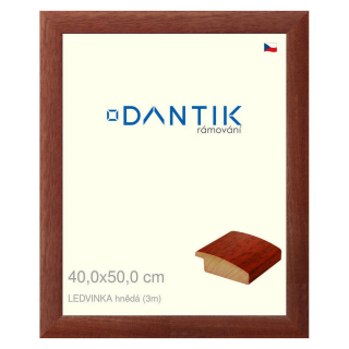 DANTIK rámeček 40x50 | LEDVINKA hnědá (Plexi Čiré)