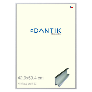 DANTIK rámeček 42x59,4 | ALU profil 7022 Stříbrná matná (Plexi Čiré)
