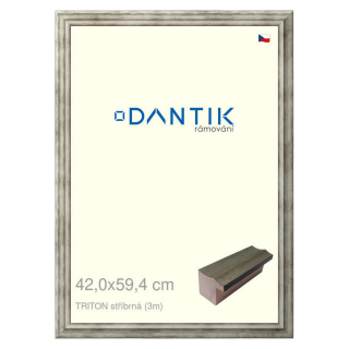 DANTIK rámeček 42x59,4 | TRITON stříbrná (Plexi Čiré)