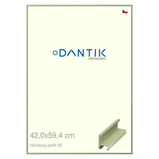 DANTIK rámeček 42x59,4 | ALU profil 6030 Dýha barevná zelená pastel (Plexi Čiré)