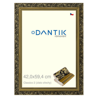 DANTIK rámeček 42x59,4 | Claico 2 (zlato ořechy) (Plexi Čiré)