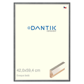 DANTIK rámeček 42x59,4 | EVOQUE šedá (Plexi Čiré)