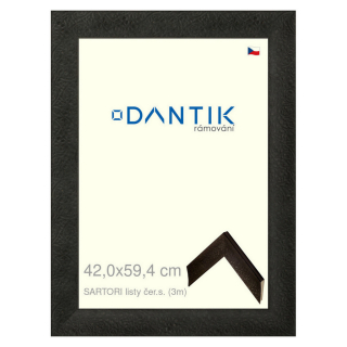 DANTIK rámeček 42x59,4 | SARTORI listy čer.s. (Plexi Čiré)