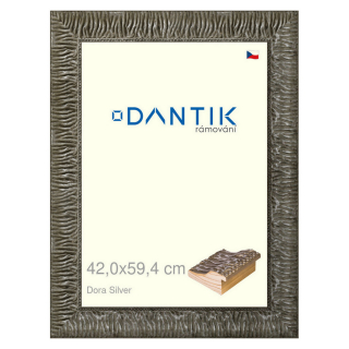 DANTIK rámeček 42x59,4 | Dora Silver (Plexi Čiré)