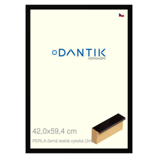 DANTIK rámeček 42x59,4 | PERLA černá lesklá vysoká (Plexi Čiré)