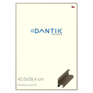 DANTIK rámeček 42x59,4 | ALU profil 6030 champagne (Plexi Čiré)
