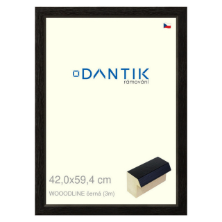 DANTIK rámeček 42x59,4 | WOODLINE černá (Plexi Čiré)