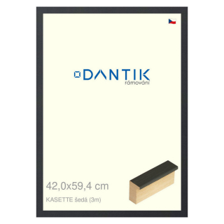 DANTIK rámeček 42x59,4 | KASSETTE šedá (Plexi Čiré)