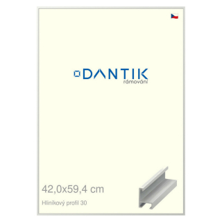 DANTIK rámeček 42x59,4 | ALU profil 6030 Bílá matná (Plexi Čiré)