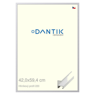 DANTIK rámeček 42x59,4 | ALU profil 6220 Bílá matná (Plexi Čiré)