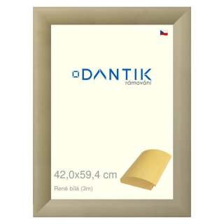 DANTIK rámeček 42x59,4 | René bílá (Plexi Čiré)