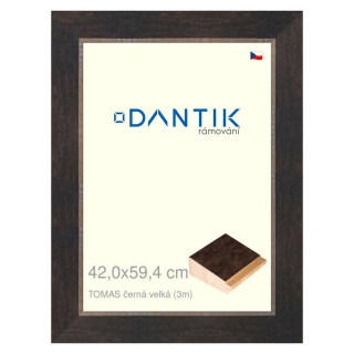 DANTIK rámeček 42x59,4 | TOMAS černá velká (Plexi Čiré)