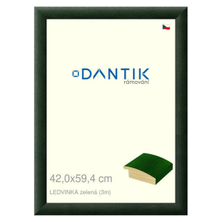 DANTIK rámeček 42x59,4 | LEDVINKA zelená (Plexi Čiré)