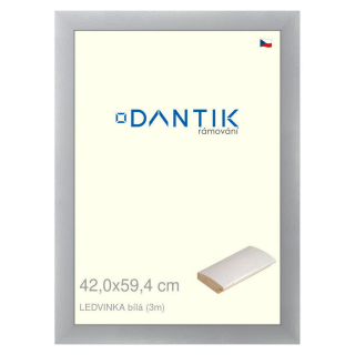 DANTIK rámeček 42x59,4 | LEDVINKA bílá (Plexi Čiré)