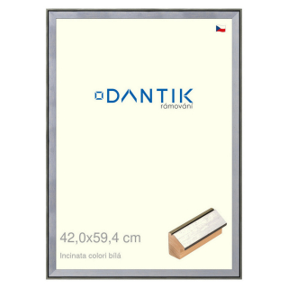 DANTIK rámeček 42x59,4 | INCLINATA colori Bílá (Plexi Čiré)